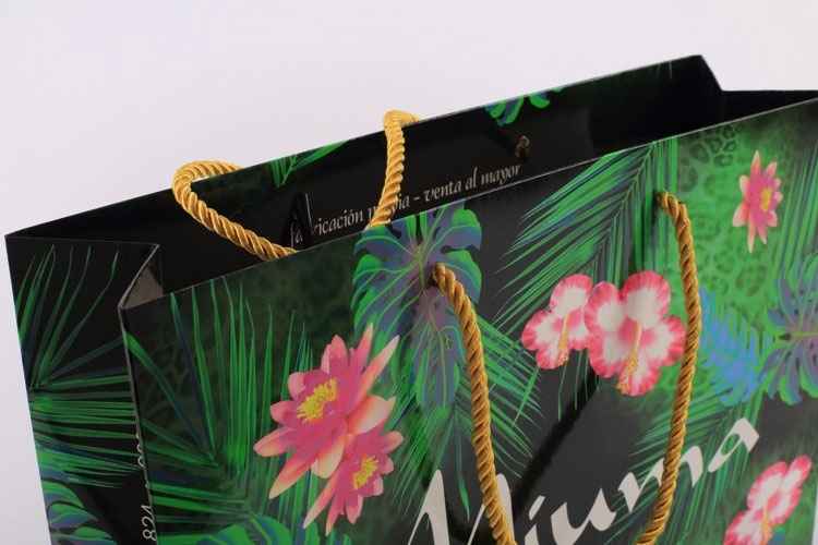 手提袋/紙(zhǐ)袋