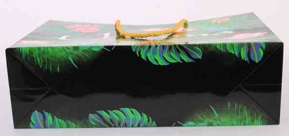 手提袋/紙(zhi)袋